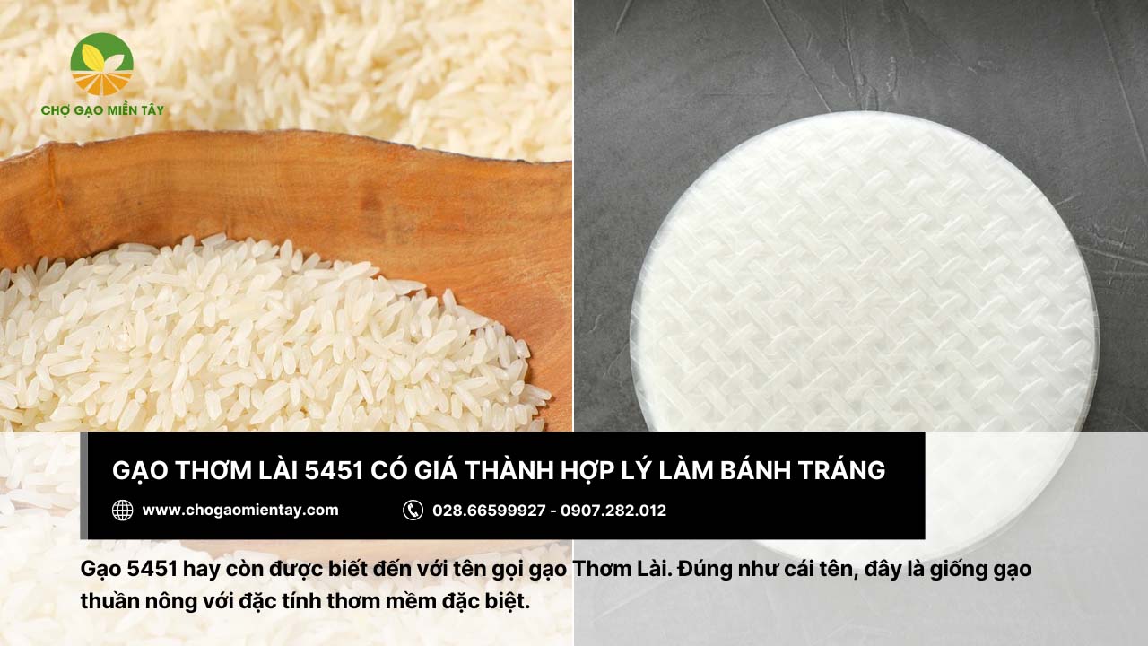 Chọn gạo làm bánh tráng 9 Gạo Thơm Lài 5451 phù hợp làm bánh tráng