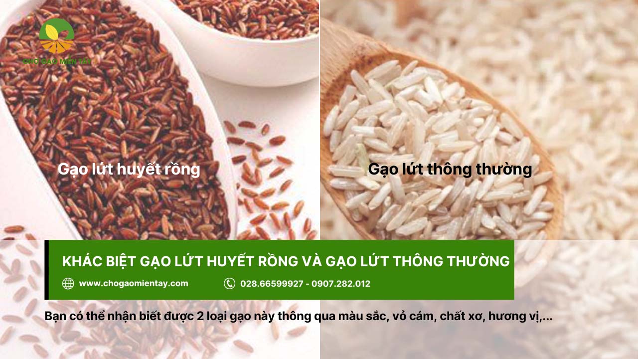 Gạo lứt huyết rồng là gì? Công dụng & Tác dụng đối với cơ thể 11 Có thể phân biệt gạo lứt huyết rồng và gạo lứt thông thường qua màu sắc của gạo