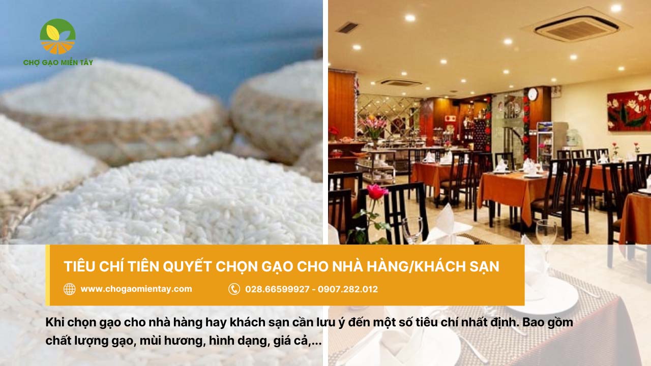 Nguồn bán gạo cung cấp gạo nhà hàng khách sạn uy tín chất lượng 5 Chọn gạo nhà hàng/khách sạn cần dựa trên nhiều tiêu chí khác nhau