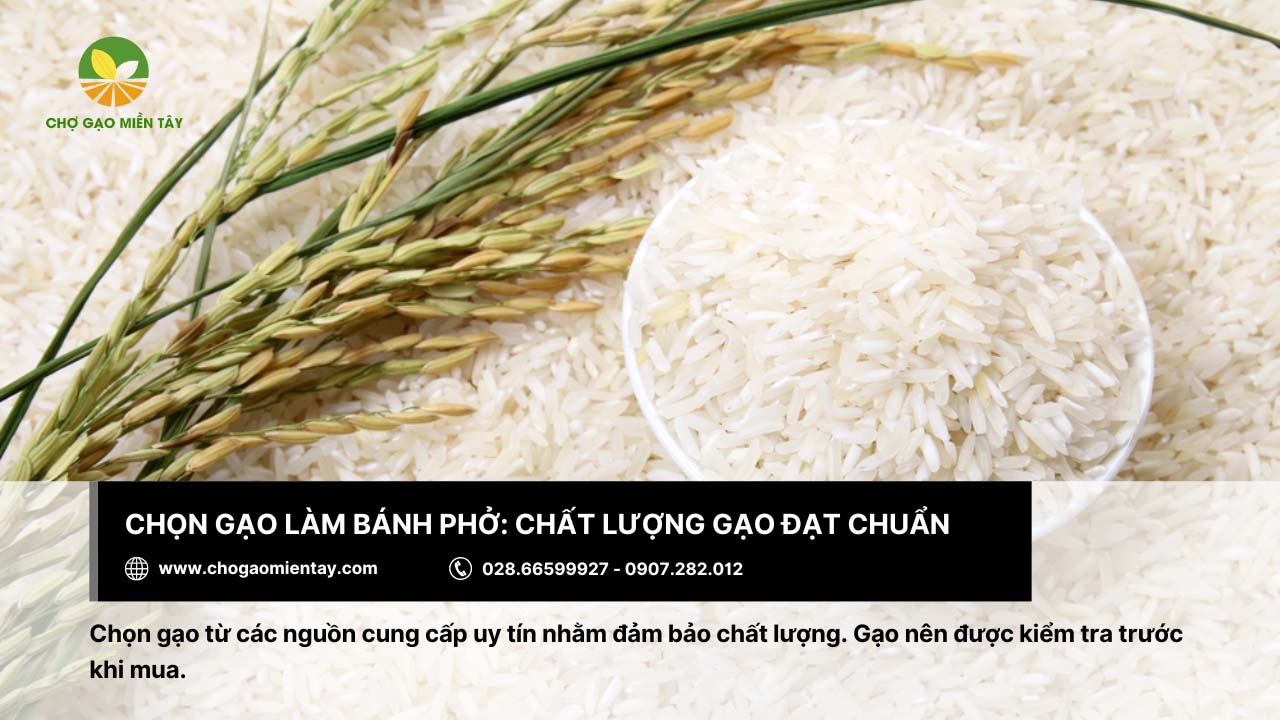 Gạo làm bánh phở: Tiêu chí và địa chỉ mua gạo chất lượng 6 Gạo làm bánh phở cần đạt chất lượng cao