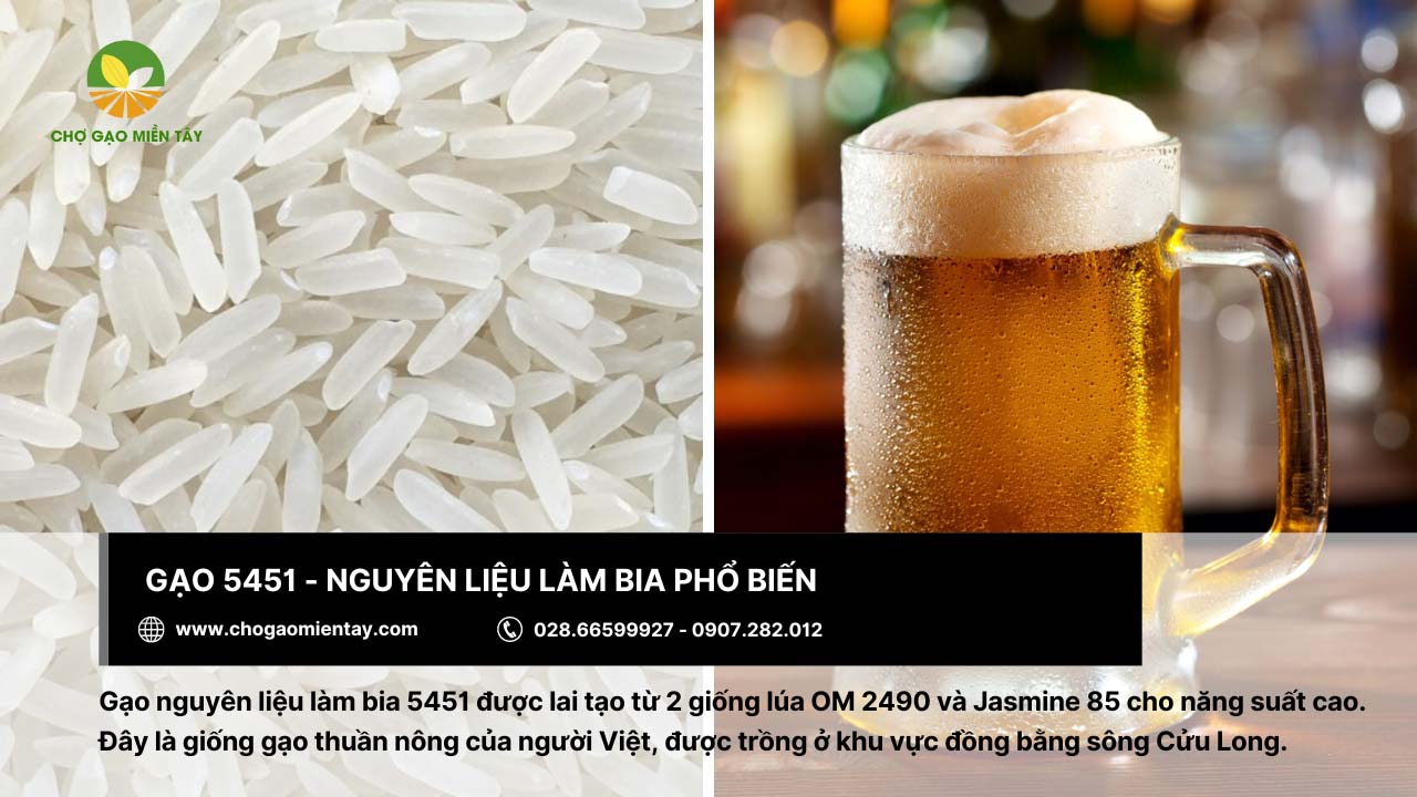 Các loại gạo nguyên liệu làm bia phổ biến nhất hiện nay 6 Nguyên liệu làm bia chất lượng - gạo 5451