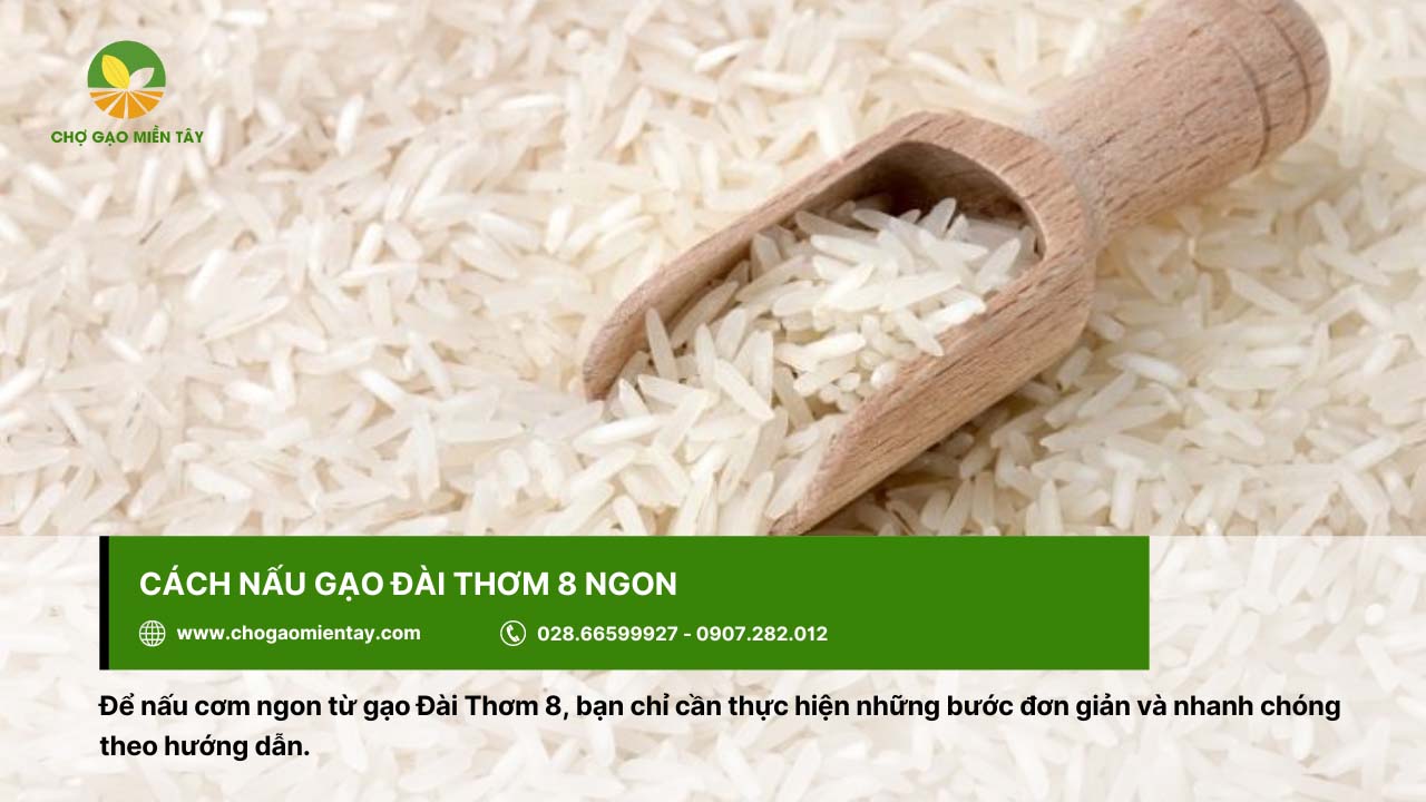 Tìm hiểu về Gạo Đài Thơm 8 8 Gạo Đài Thơm 8 được nhà hàng, khách sạn ưa chuộng bởi tính mềm dẻo