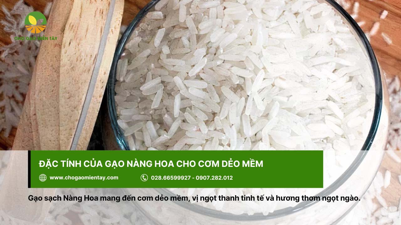 Gạo Nàng Hoa Giá Sỉ 13 Gạo Nàng Hoa cho cơm dẻo mềm
