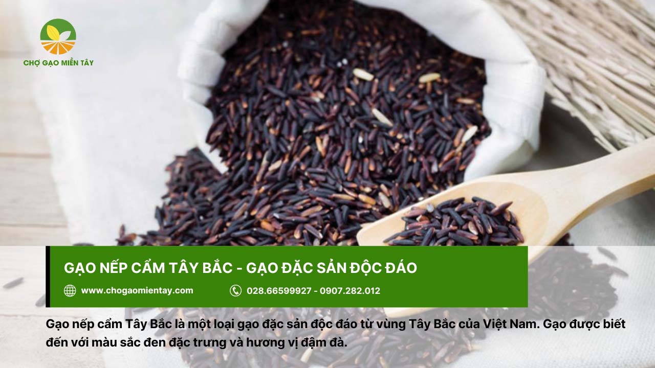 Top 9 gạo đặc sản làm quà biếu Tết chất lượng, ý nghĩa 6 Gạo nếp cẩm có hương vị đậm đà, đặc sản vùng Tây Bắc