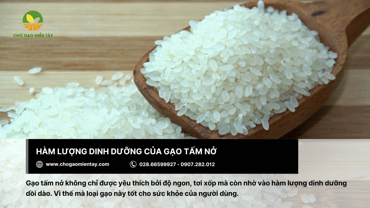 Gạo Tấm Nở 4 Gạo tấm nở có hàm lượng dinh dưỡng dồi dào