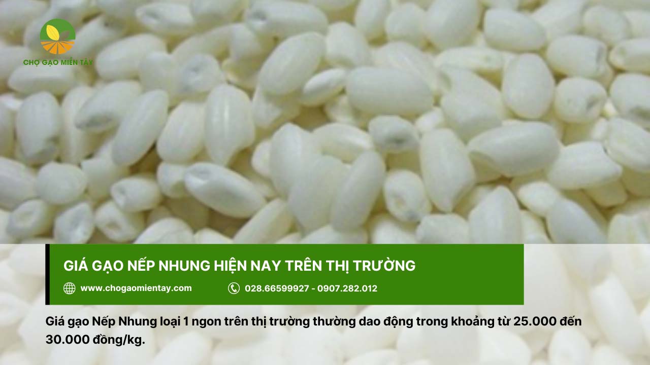 Gạo Nếp Nhung 6 Gạo nếp Nhung có giá khoảng 25.000 - 30.000 đồng/kg