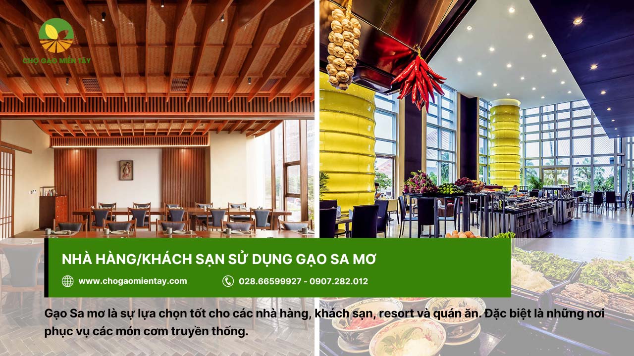 Gạo Sa Mơ 16 Nhà hàng/khách sạn ưa chuộng gạo Sa mơ