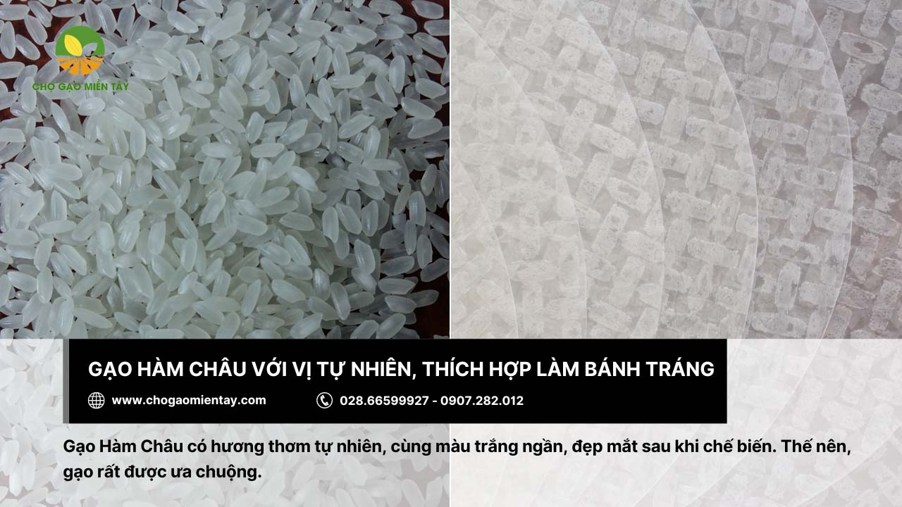 Chọn gạo làm bánh tráng 8 Sản xuất bánh tráng thơm ngon với gạo Hàm Châu