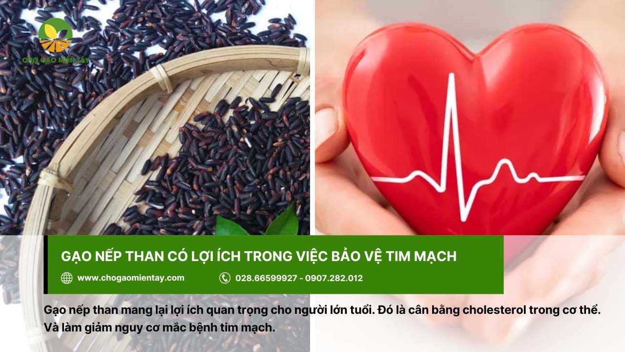 Gạo nếp than là gì? Lợi ích tuyệt vời của gạo nếp than đen 6 Ăn gạo nếp than hỗ trợ bảo vệ tim mạch