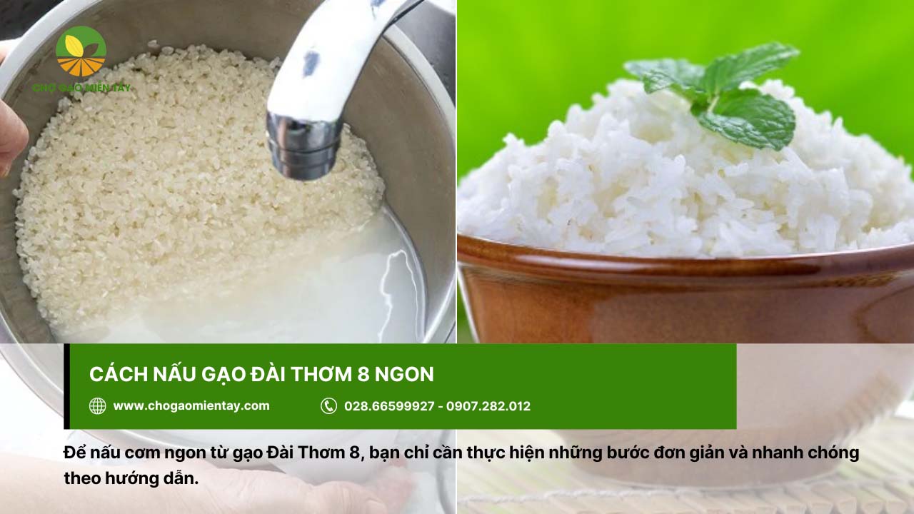 Tìm hiểu về Gạo Đài Thơm 8 9 Cách nấu cơm từ gạo Đài Thơm 8 rất dễ thực hiện