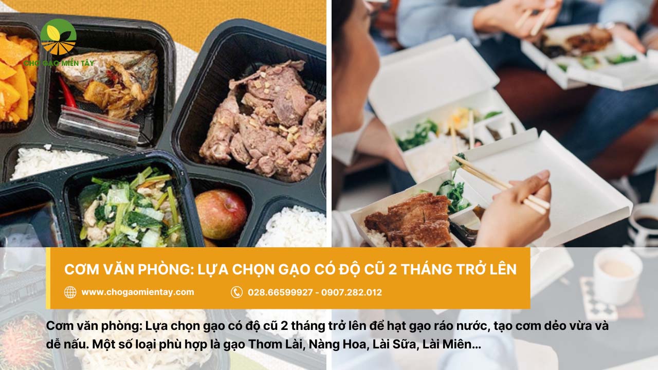 Nguồn bán gạo cung cấp gạo nhà hàng khách sạn uy tín chất lượng 7 Chọn gạo để nấu cơm văn phòng cần có độ cũ từ 2 tháng trở lên