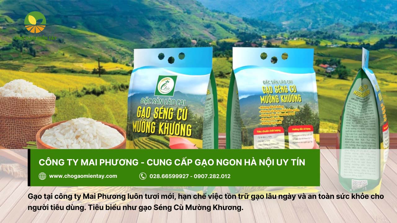 Gạo ngon ở Hà Nội mua ở đâu uy tín chất lượng 20 Gạo ngon Hà Nội từ công ty Mai Phương