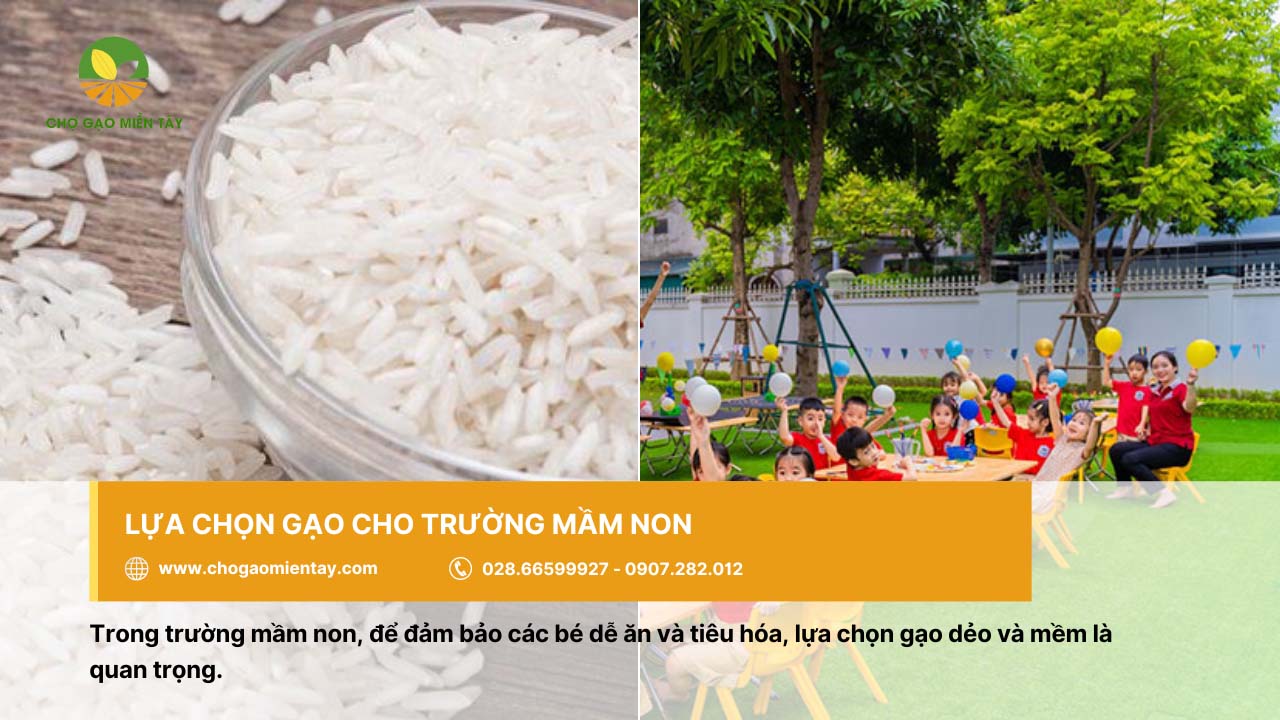 Nguồn cung cấp gạo cho trường học, căn tin giá sỉ chất lượng 7 Gạo cho trường mầm non nên chọn loại dẻo, mềm