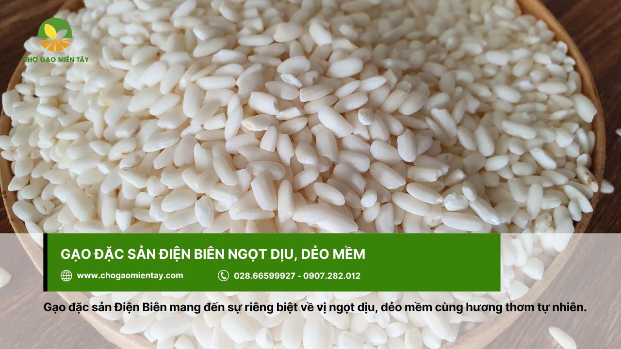 Giới thiệu các loại gạo đặc sản phổ biến, được ưa chuộng ở Việt Nam 7 Gạo đặc sản Điện Biên có vị ngọt dịu