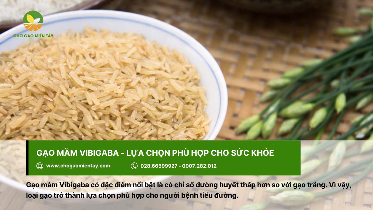 Top 9 gạo đặc sản làm quà biếu Tết chất lượng, ý nghĩa 7 Gạo mầm Vibigaba thích hợp sử dụng làm quà biếu
