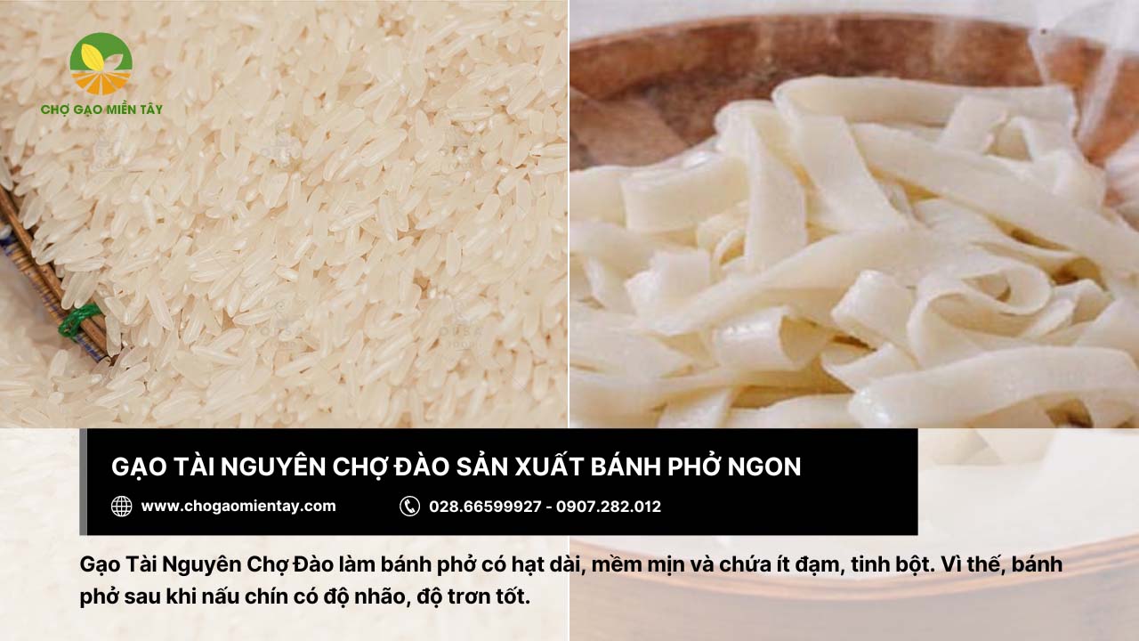 Gạo làm bánh phở: Tiêu chí và địa chỉ mua gạo chất lượng 7 Gạo Tài Nguyên Chợ Đào thích hợp để sản xuất bánh phở