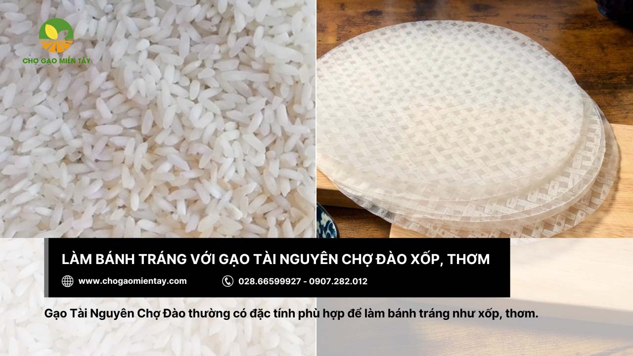 Chọn gạo làm bánh tráng 11 Gạo Tài Nguyên Chợ Đào có đặc điểm thơm, xốp, làm bánh tráng ngon