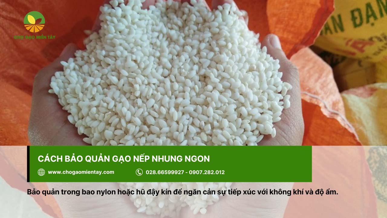 Gạo Nếp Nhung 8 Nên bảo quản gạo nếp Nhung trong bao và cột kín
