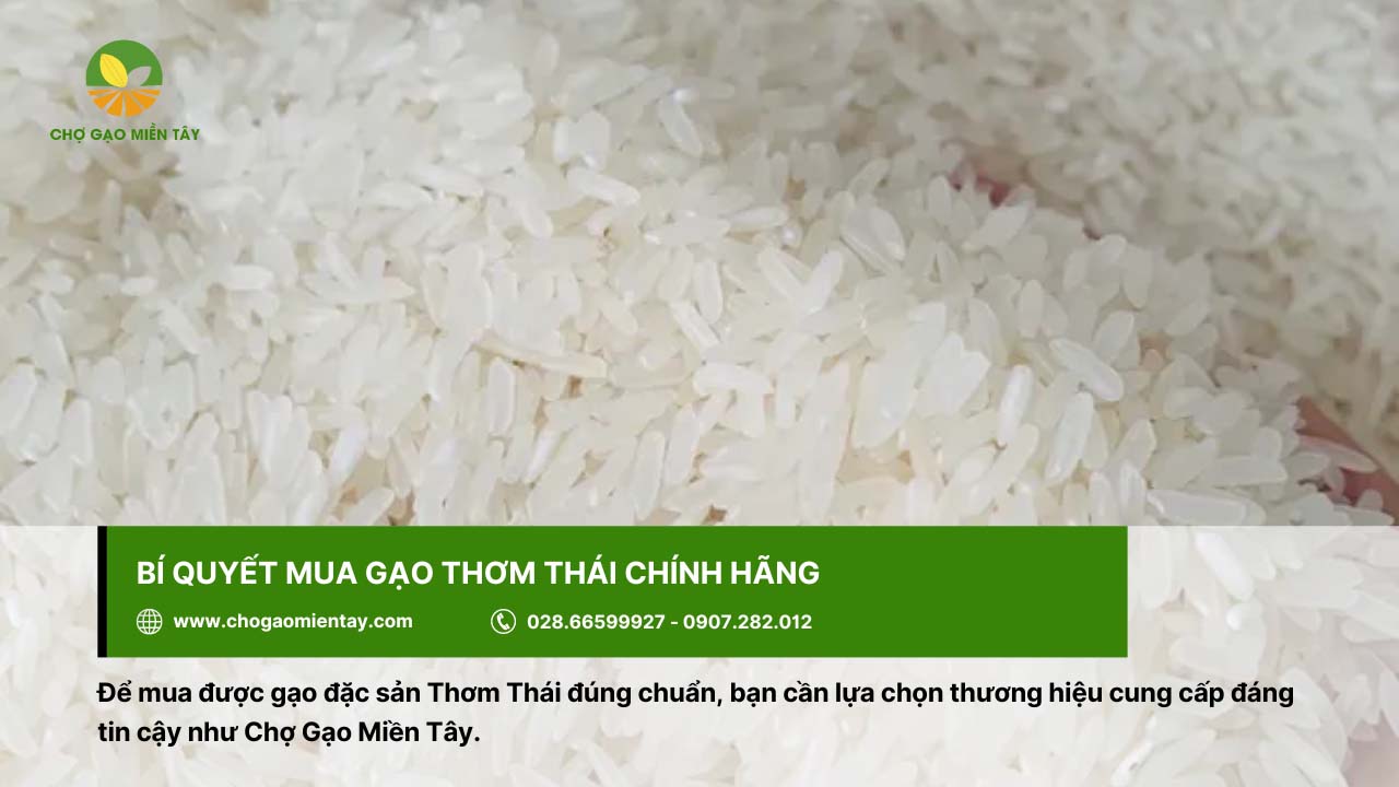 Gạo Thơm Thái 8 Chọn thương hiệu cung cấp gạo uy tín để đảm bảo mua gạo Thơm Thái chất lượng