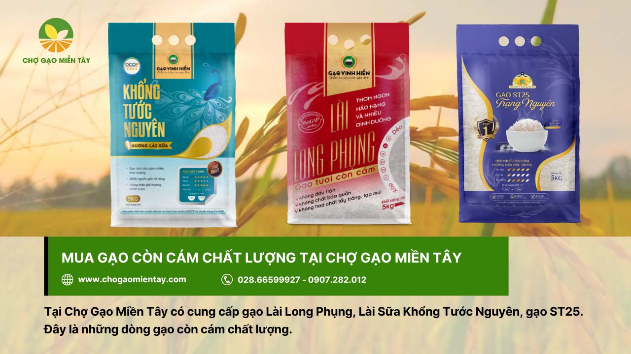 Gạo nguyên cám là gì? Phân biệt giữa gạo nguyên cám và gạo còn cám 10 Chợ Gạo Miền Tây cung cấp gạo còn cám chất lượng