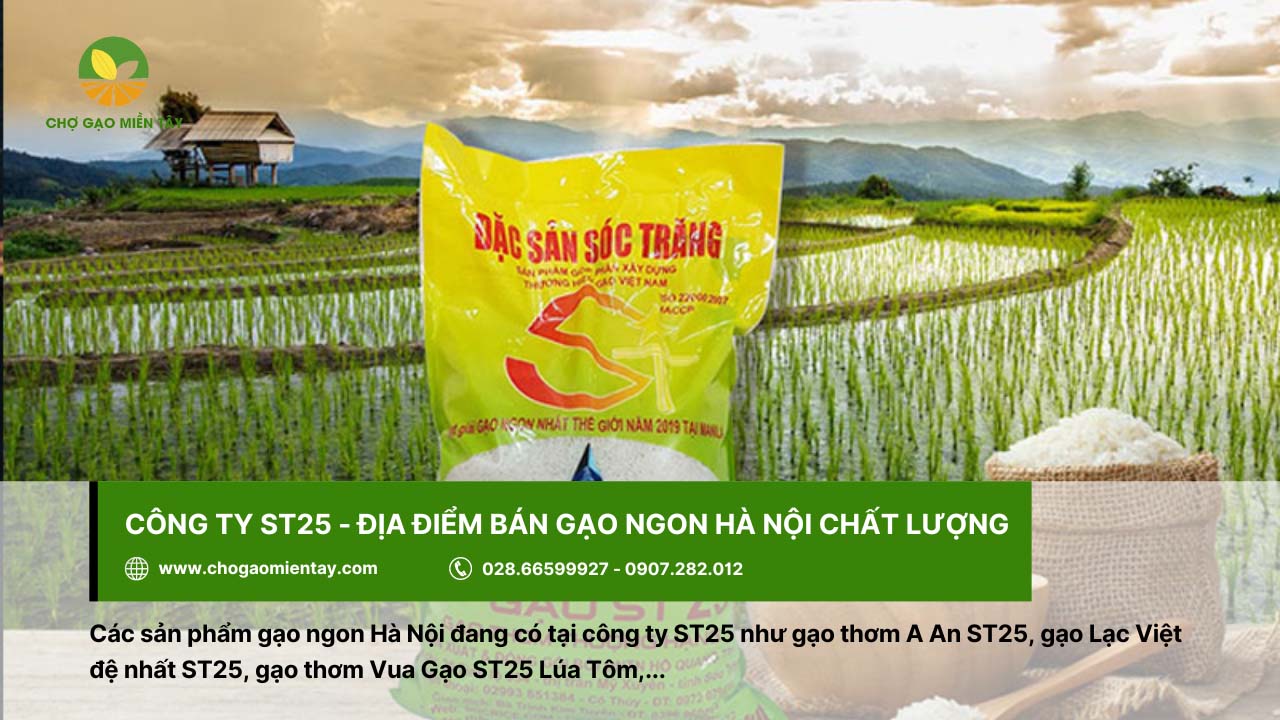 Gạo ngon ở Hà Nội mua ở đâu uy tín chất lượng 21 Công ty ST25 bán gạo ngon, chất lượng tại Hà Nội