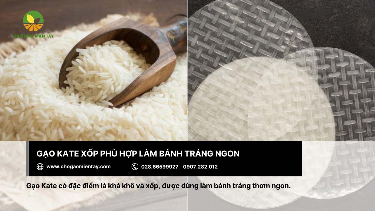 Chọn gạo làm bánh tráng 6 Gạo làm bánh tráng ngon - gạo Kate