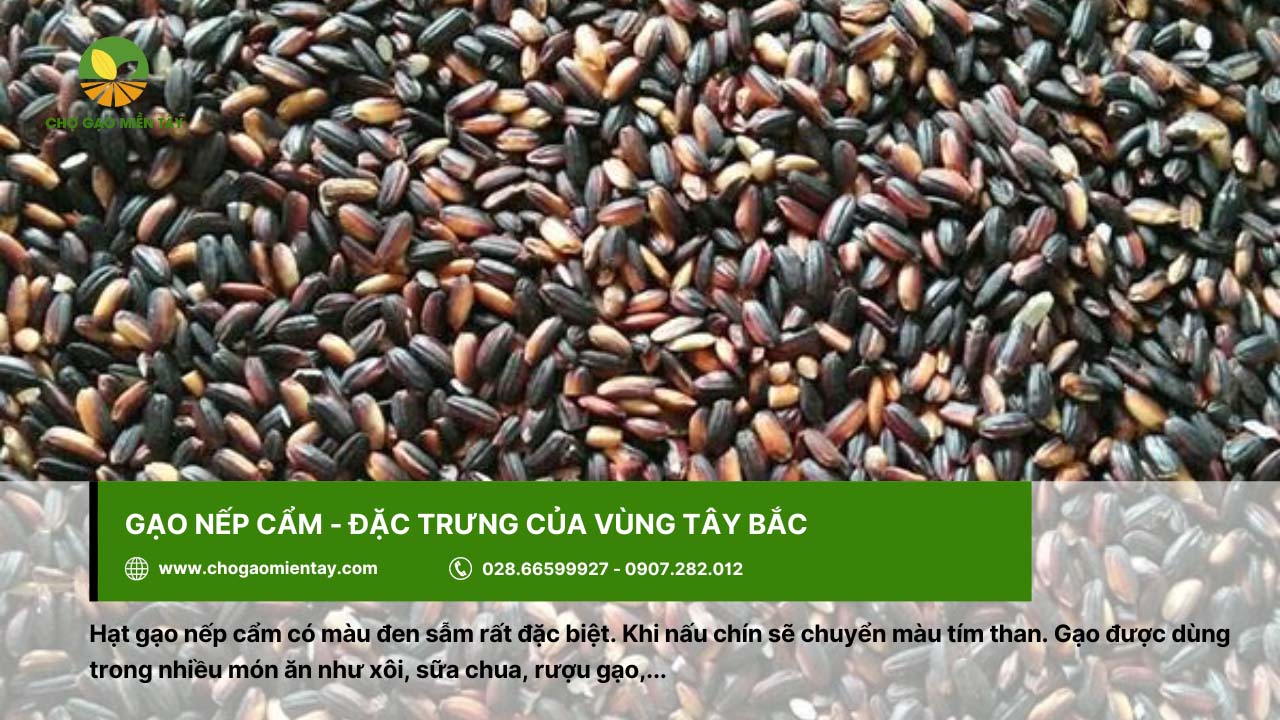 Gạo Nếp giá bao nhiêu? Bảng Giá Gạo Nếp Mới Nhất 2024 8 Gạo nếp cẩm có màu đen sẫm