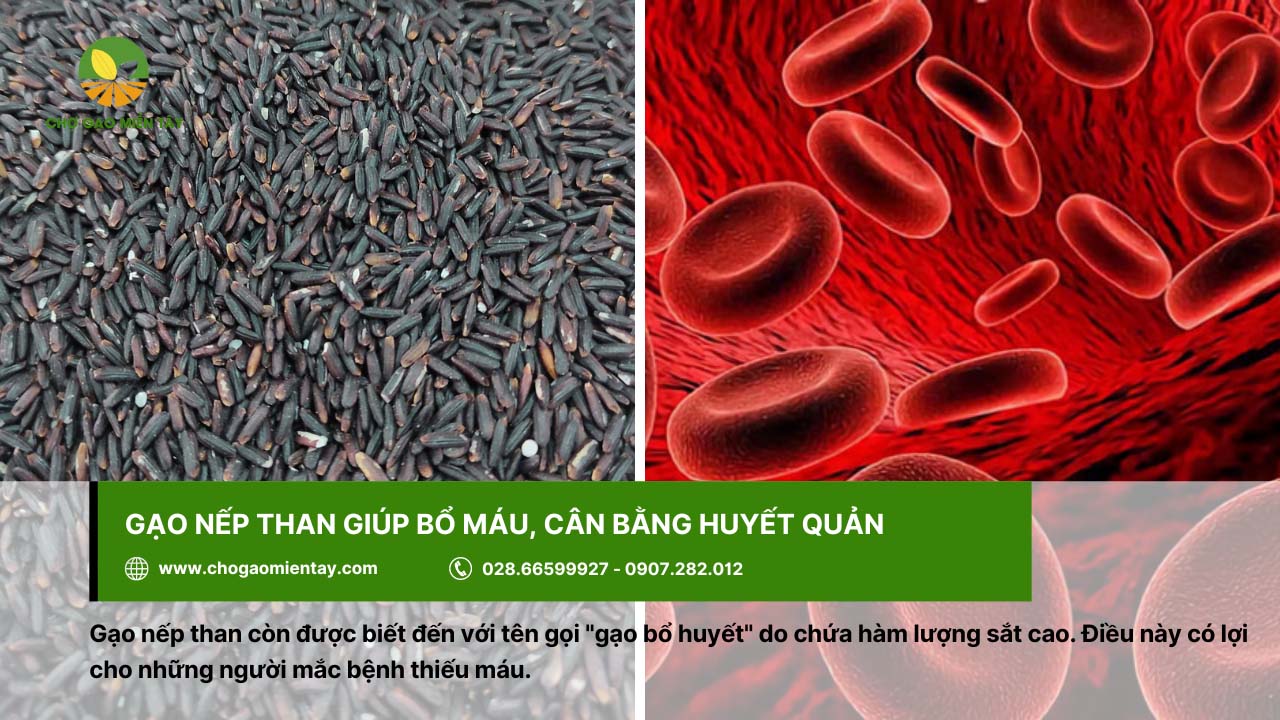 Gạo nếp than là gì? Lợi ích tuyệt vời của gạo nếp than đen 4 Gạo nếp than giúp bổ máu