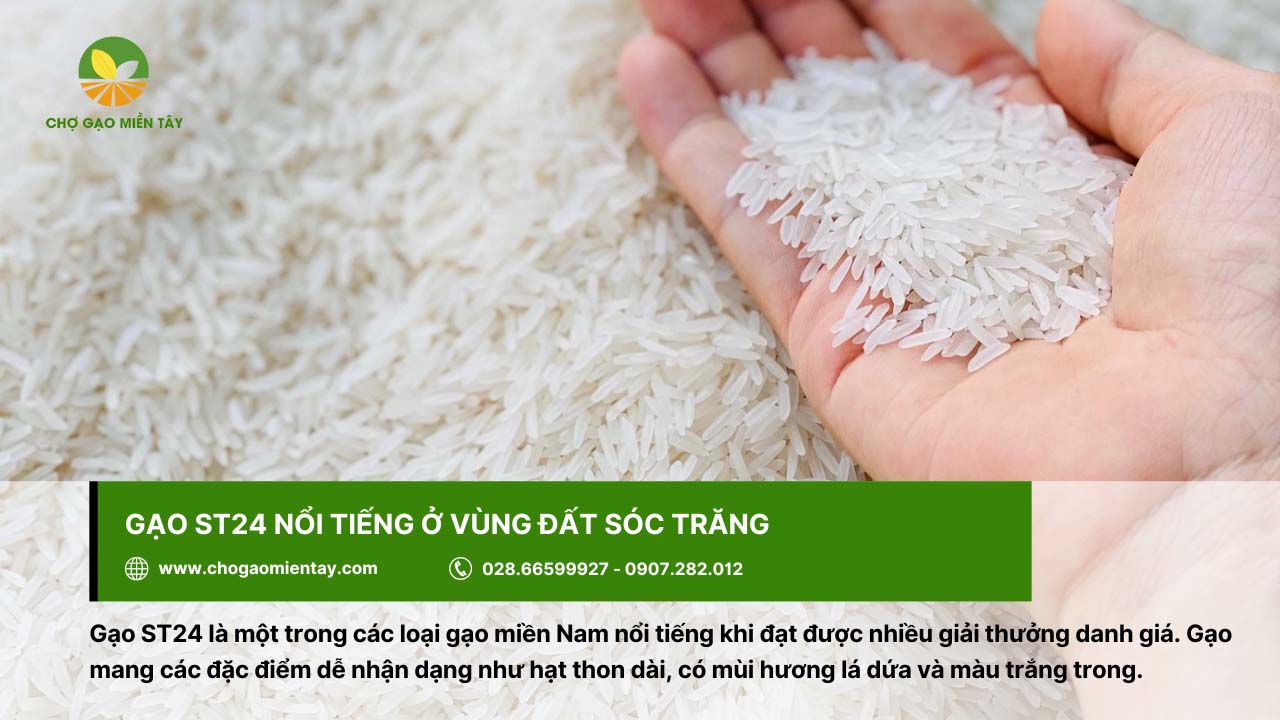 Top các loại gạo miền Nam được ưa chuộng hiện nay 8 Gạo ST24 được ưa chuộng bởi hương vị đặc trưng và thơm ngon