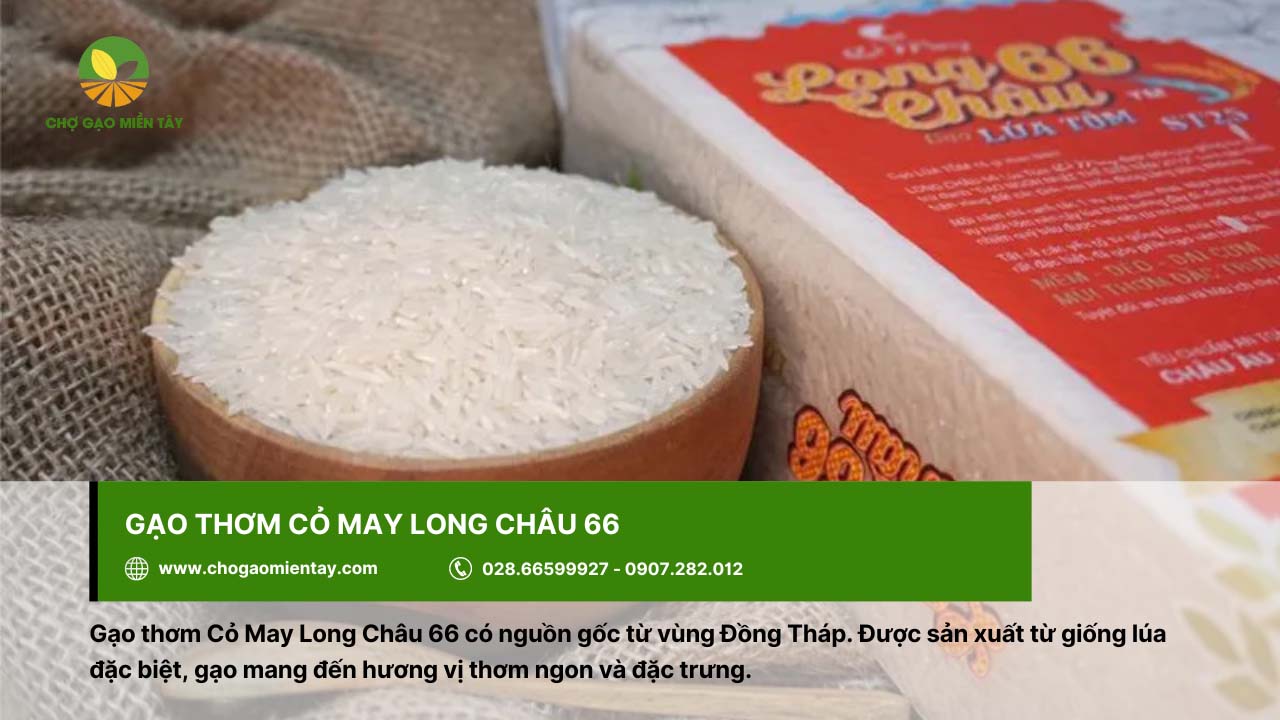 Top 9 gạo đặc sản làm quà biếu Tết chất lượng, ý nghĩa 8 Làm quà biếu bằng gạo thơm Cỏ May Long Châu 66 với vị đặc trưng