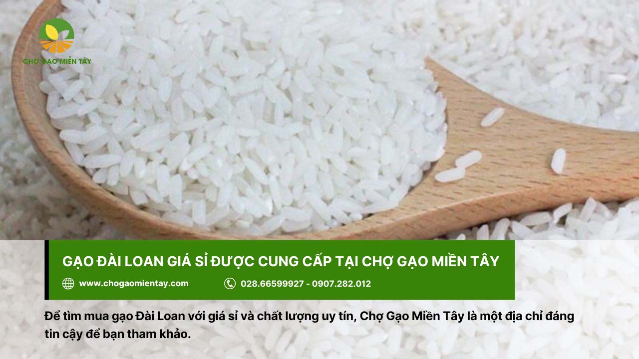 Gạo Đài Loan Sữa Gò Công 5 Mua gạo Đài Loan giá sỉ tại Chợ Gạo Miền Tây