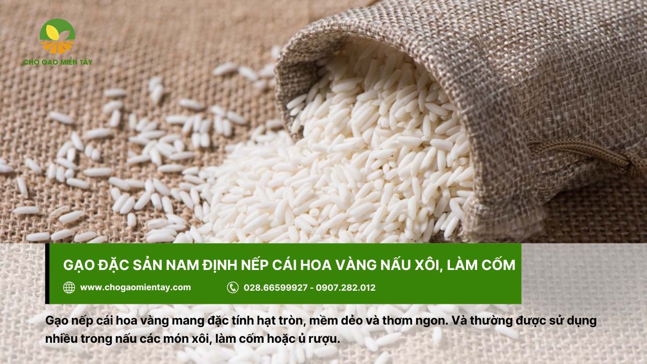 Giới thiệu các loại gạo đặc sản phổ biến, được ưa chuộng ở Việt Nam 8 Gạo nếp cái hoa vàng là gạo đặc sản Nam Định có đặc điểm mềm dẻo