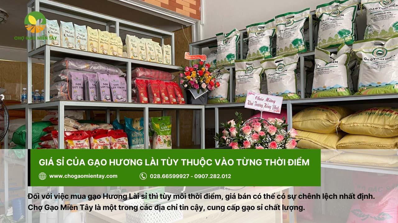 Gạo Hương Lài Sữa 19 Chợ Gạo Miền Tây cung cấp gạo sỉ với giá tốt