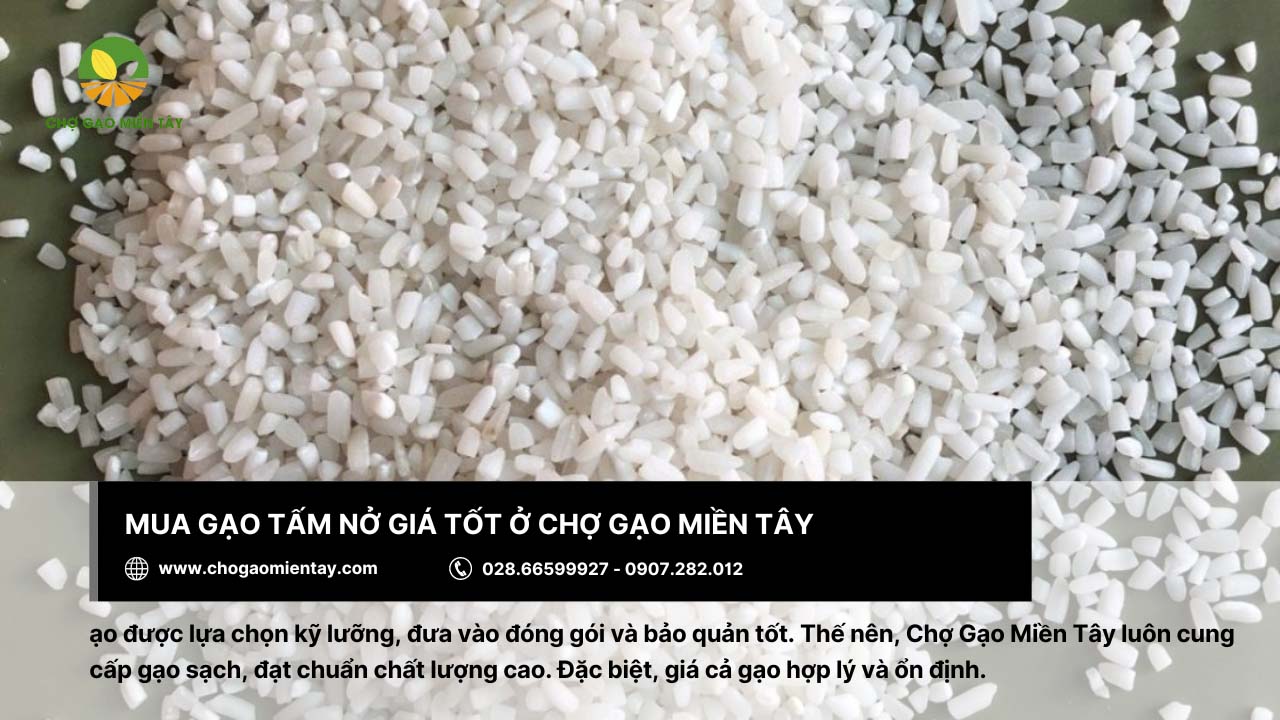 Gạo Tấm Nở 8 Chợ Gạo Miền Tây cung cấp gạo tấm nở thơm ngon và giá tốt