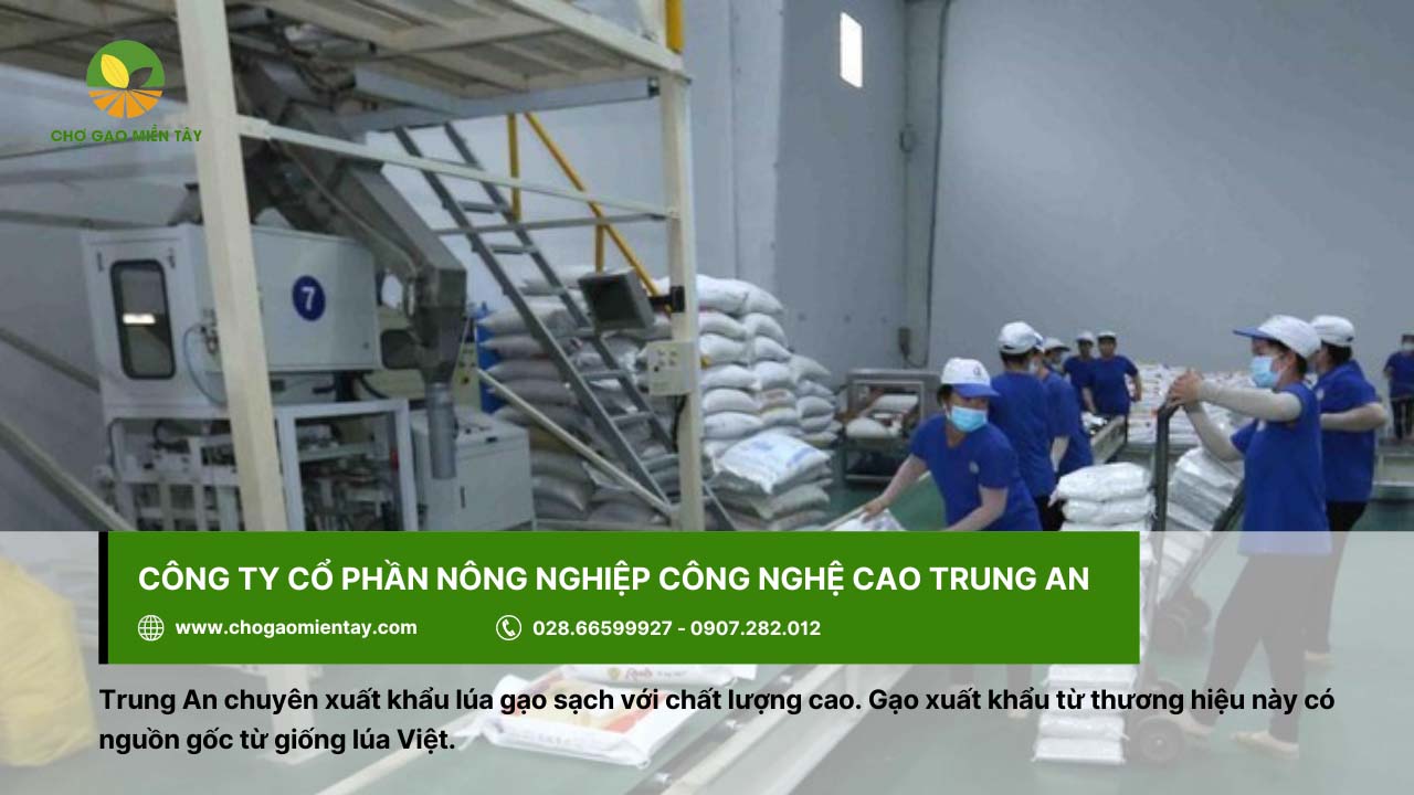 Top 10 công ty xuất khẩu lúa gạo lớn nhất Việt Nam 9 Trung An chuyên xuất khẩu lúa gạo sạch, chất lượng tối ưu
