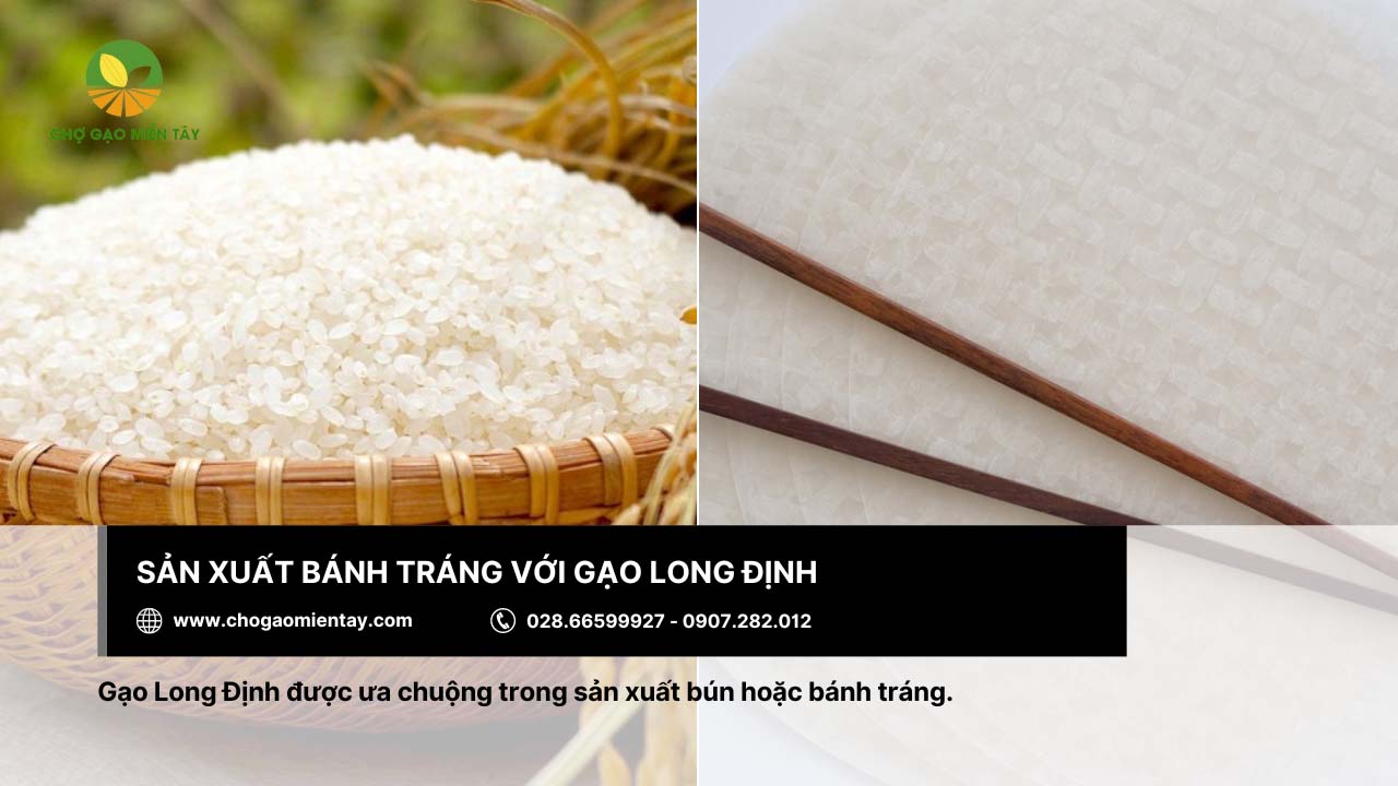Chọn gạo làm bánh tráng 7 Gạo Long Định được ưa chuộng trong sản xuất bánh tráng