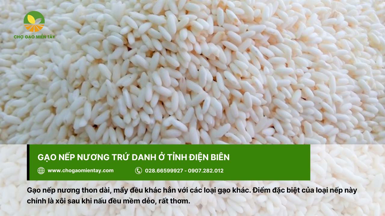 Gạo Nếp giá bao nhiêu? Bảng Giá Gạo Nếp Mới Nhất 2024 9 Gạo nếp nương được dùng vào các dịp lễ, Tết,...