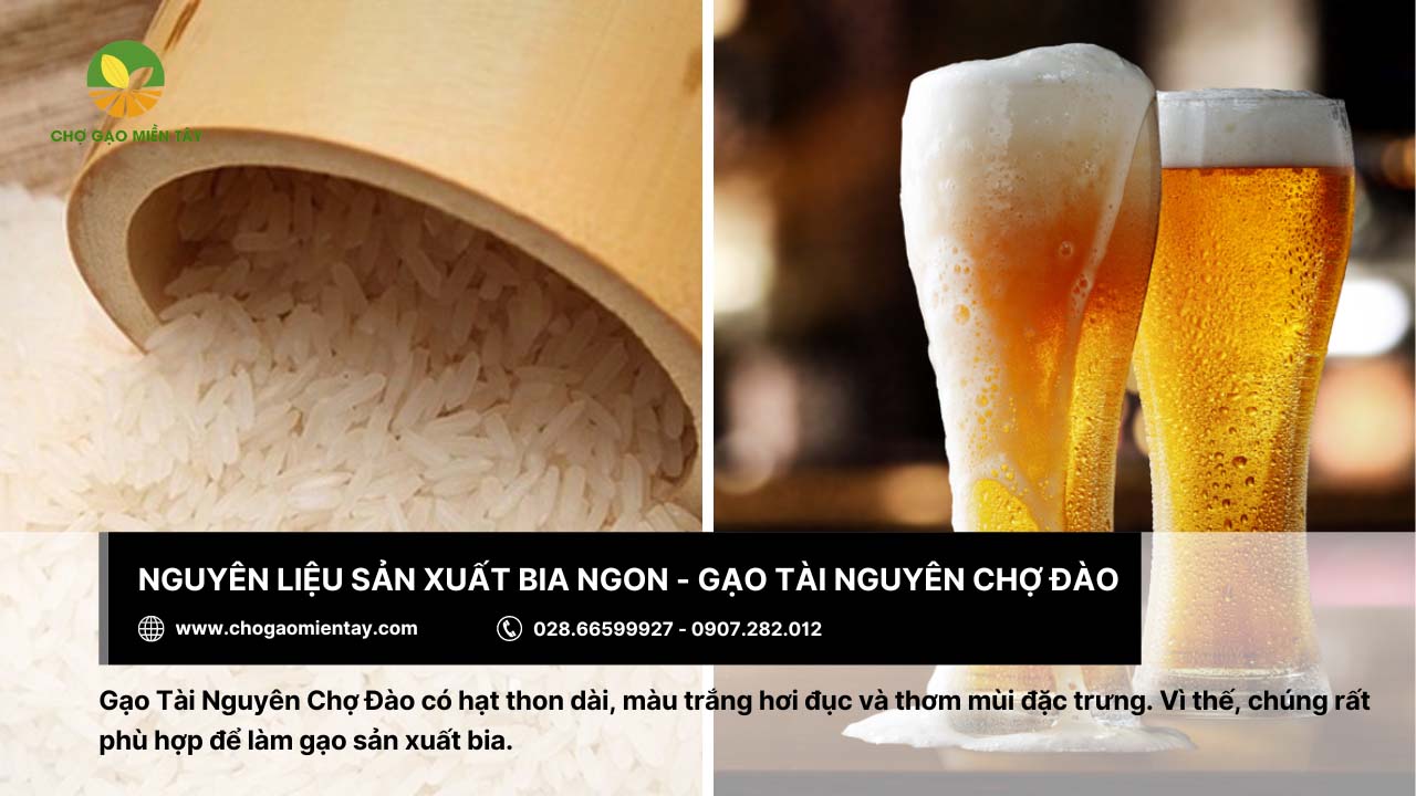 Các loại gạo nguyên liệu làm bia phổ biến nhất hiện nay 9 Gạo Tài Nguyên Chợ Đào giúp làm bia chuẩn vị