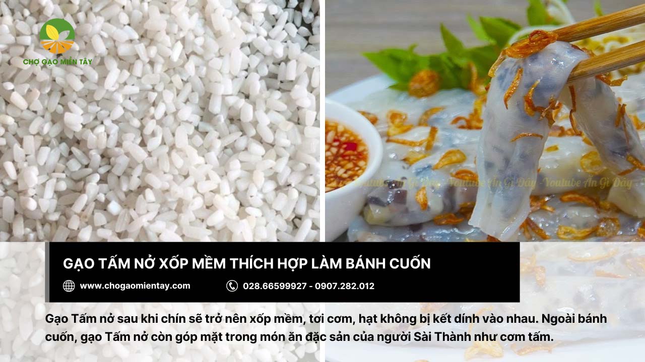Gạo làm bánh cuốn thơm ngon, đầy hấp dẫn 9 Món bánh cuốn đậm đà từ gạo Tấm nở