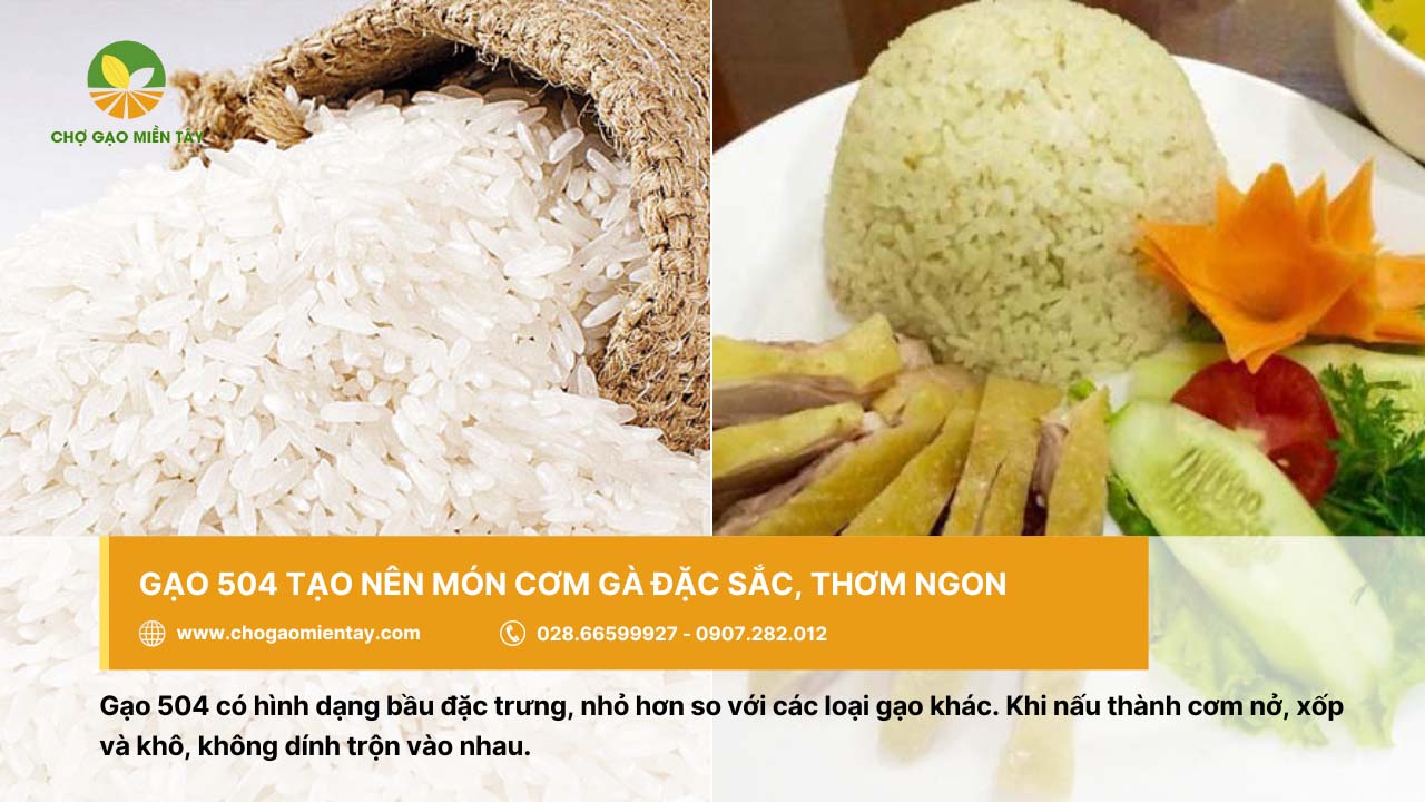 Cung cấp gạo cho quán cơm gà giá sỉ tại TP. HCM 4 Món cơm gà đặc sắc từ gạo 504