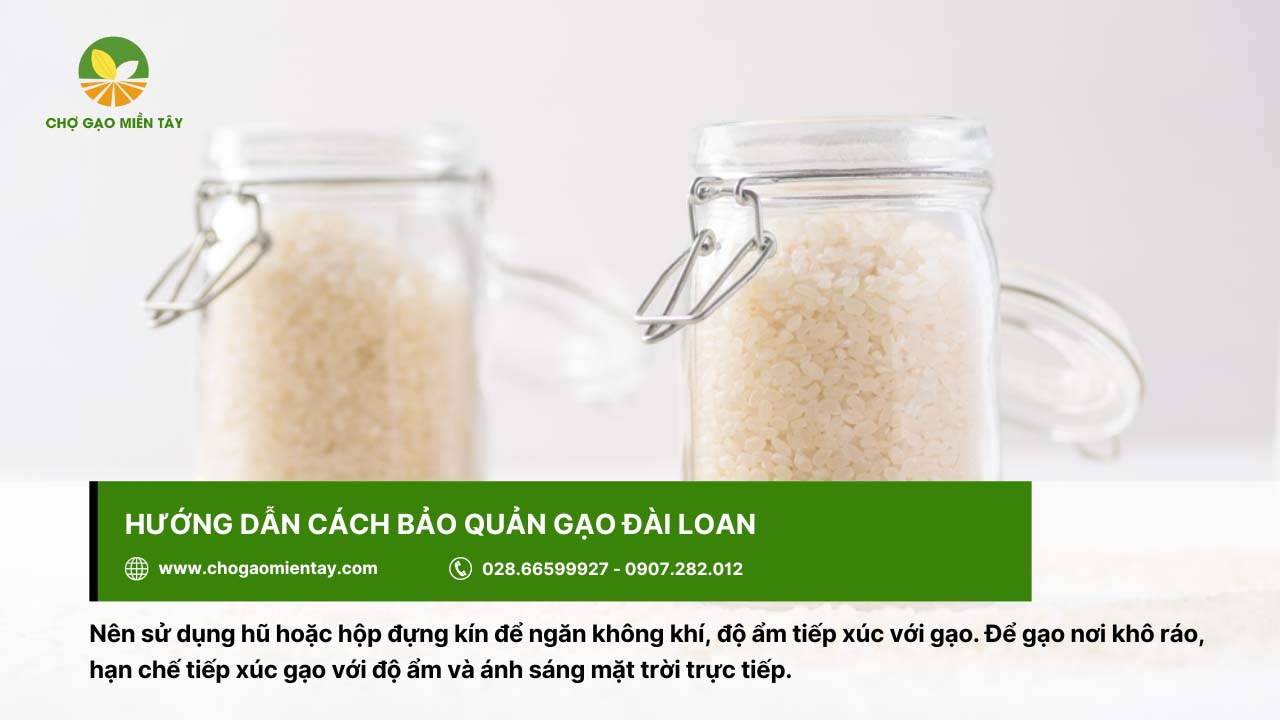 Gạo Đài Loan Sữa Gò Công 7 Nên bảo quản gạo trong hũ hoặc hộp đựng