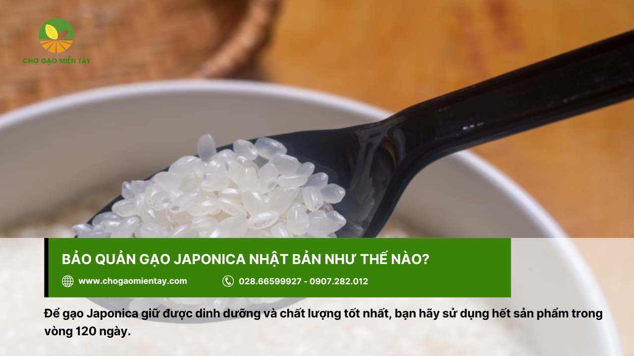 Gạo Nhật Japonica Bán Ở Đâu? Địa Chỉ Bán Gạo Nhật Giá Sỉ 7 Sử dụng gạo Japonica Nhật nên sử dụng trong vòng 4 tháng sau khi mua