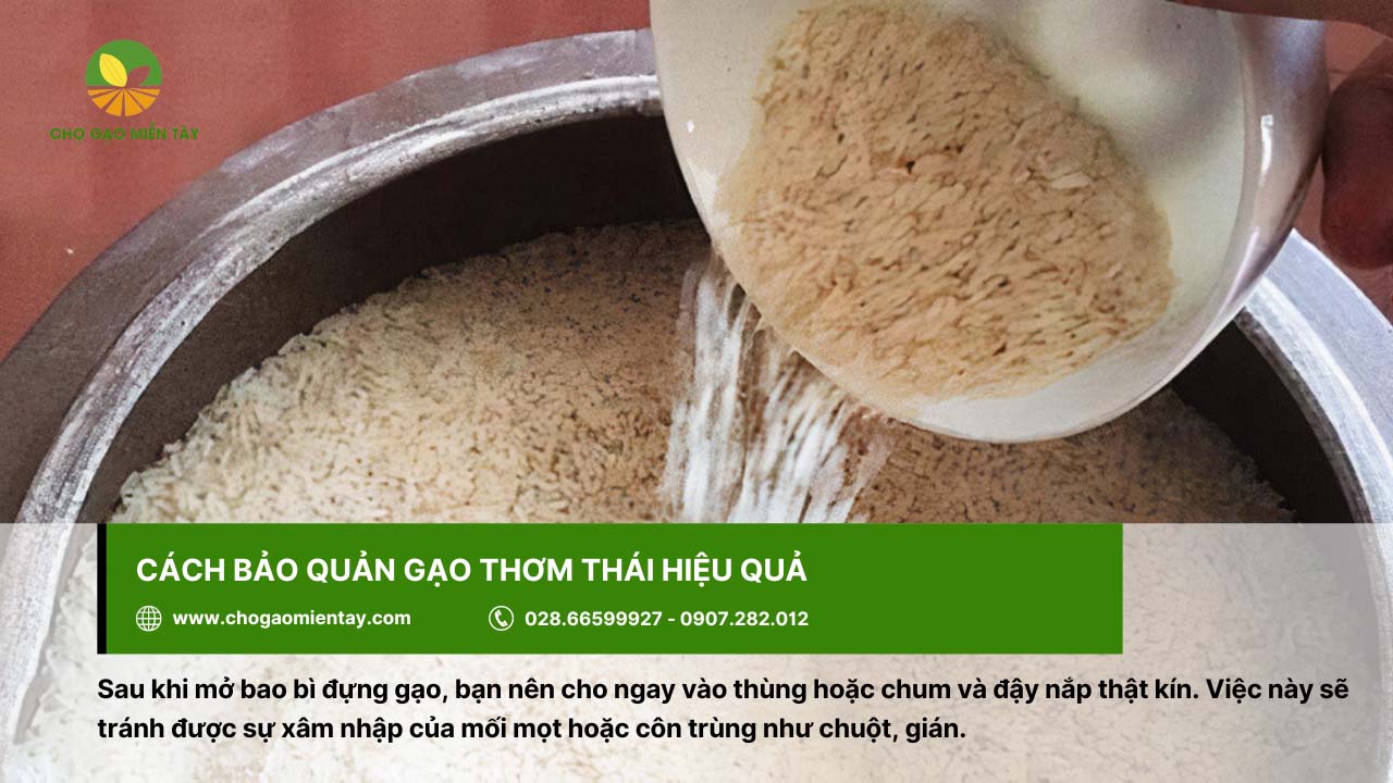 Gạo Thơm Thái 10 Nên bảo quản gạo Thơm Thái trong thùng hoặc chum và đậy nắp kỹ càng
