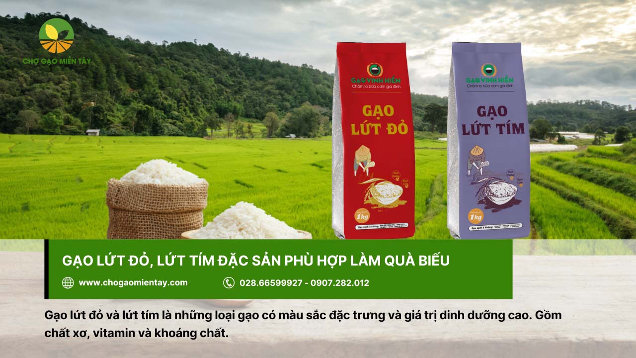 Top 9 gạo đặc sản làm quà biếu Tết chất lượng, ý nghĩa 10 Giá trị dinh dưỡng của gạo lứt đỏ, lứt tím được dùng làm quà biếu trong nhiều dịp