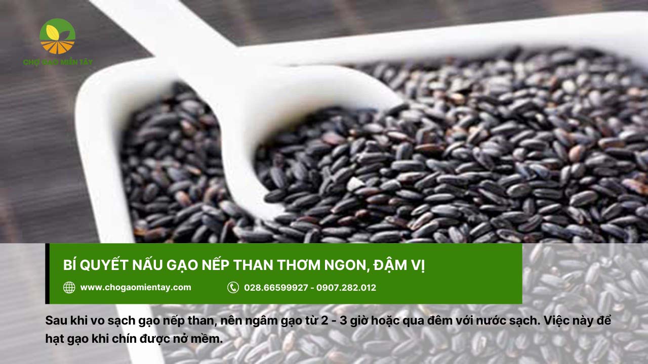 Gạo nếp than là gì? Lợi ích tuyệt vời của gạo nếp than đen 10 Cách để nấu gạo nếp than ngon là nên ngâm gạo khoảng 2 - 3 giờ hoặc ngâm qua đêm