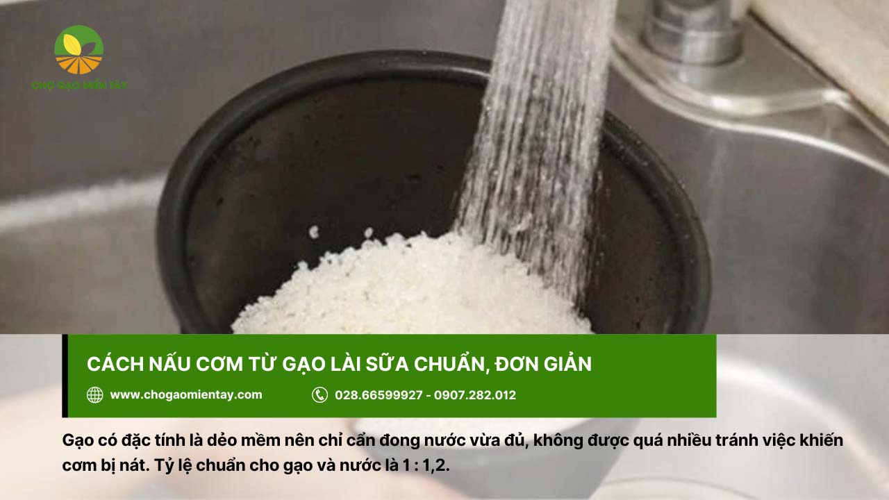 Gạo Lài Sữa 10 Khi nấu gạo lài sữa cần đong với lượng nước vừa phải