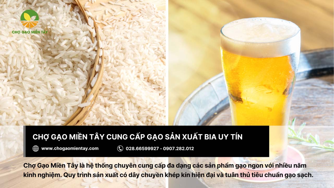 Các loại gạo nguyên liệu làm bia phổ biến nhất hiện nay 10 Chợ Gạo Miền Tây - nơi cung cấp gạo làm bia chất lượng