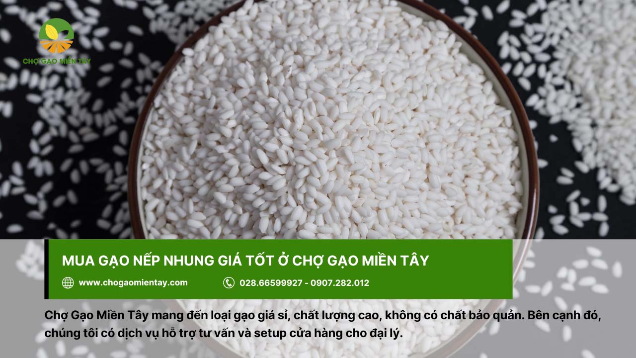 Gạo Nếp Nhung 10 Chợ Gạo Miền Tây với sản phẩm gạo sạch, chất lượng cao