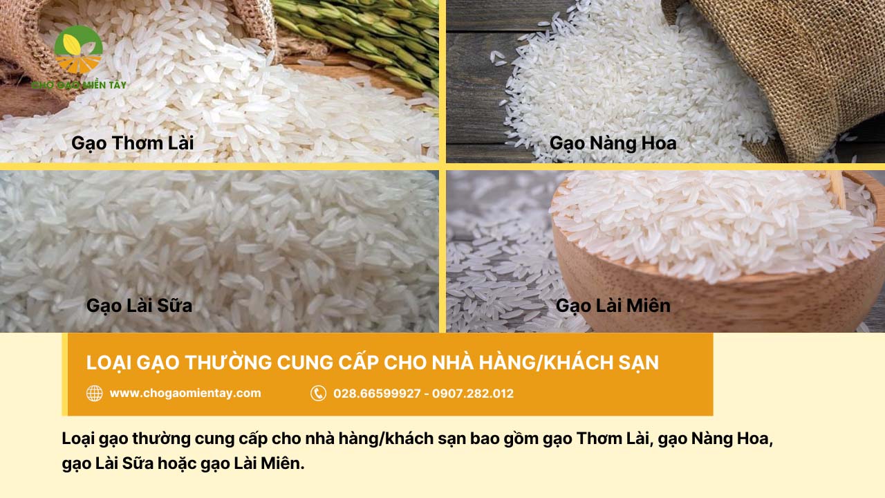 Nguồn bán gạo cung cấp gạo nhà hàng khách sạn uy tín chất lượng 10 Có đa dạng loại gạo cung cấp cho khách sạn/nhà hàng