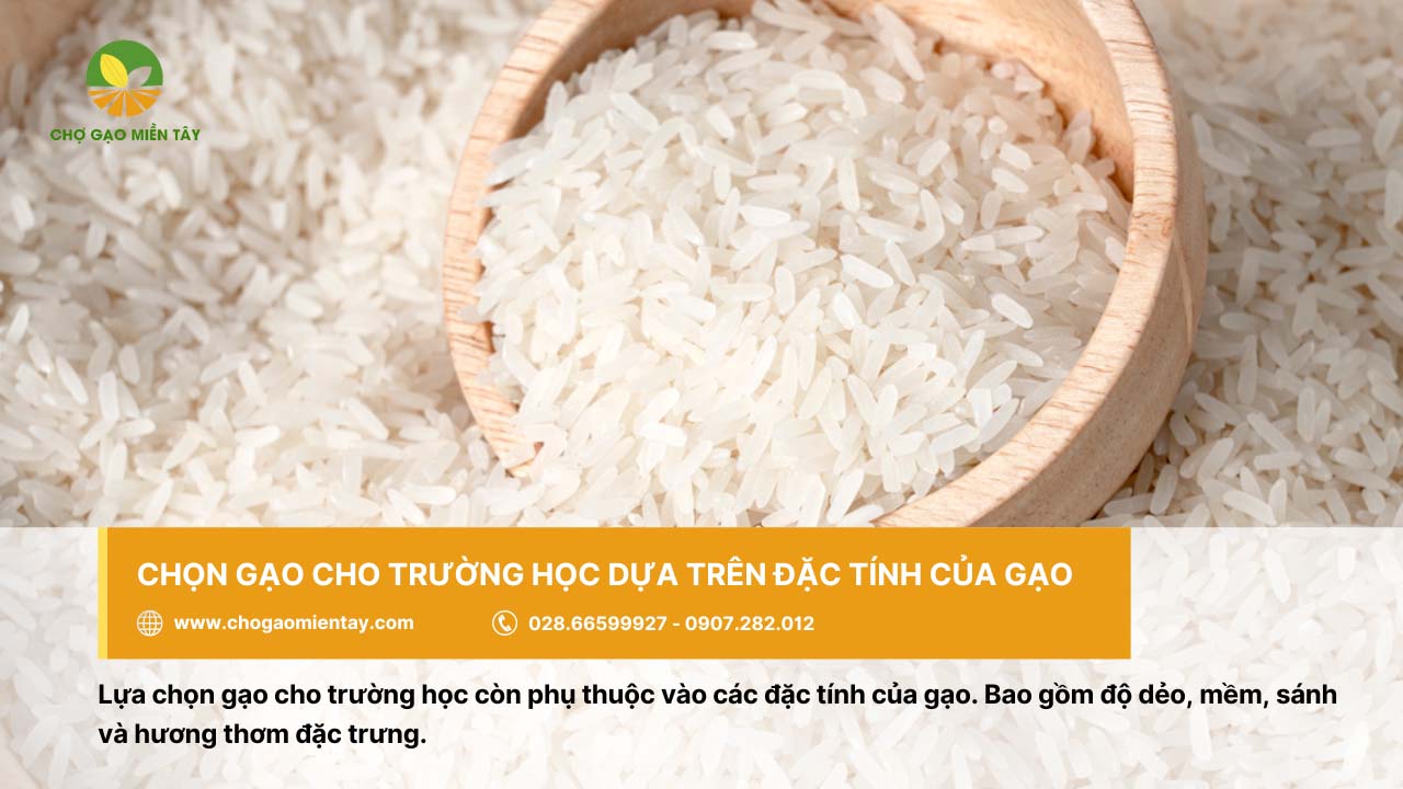 Nguồn cung cấp gạo cho trường học, căn tin giá sỉ chất lượng 10 Gạo cho trường học nên có đặc tính dẻo, mềm, thơm và sánh